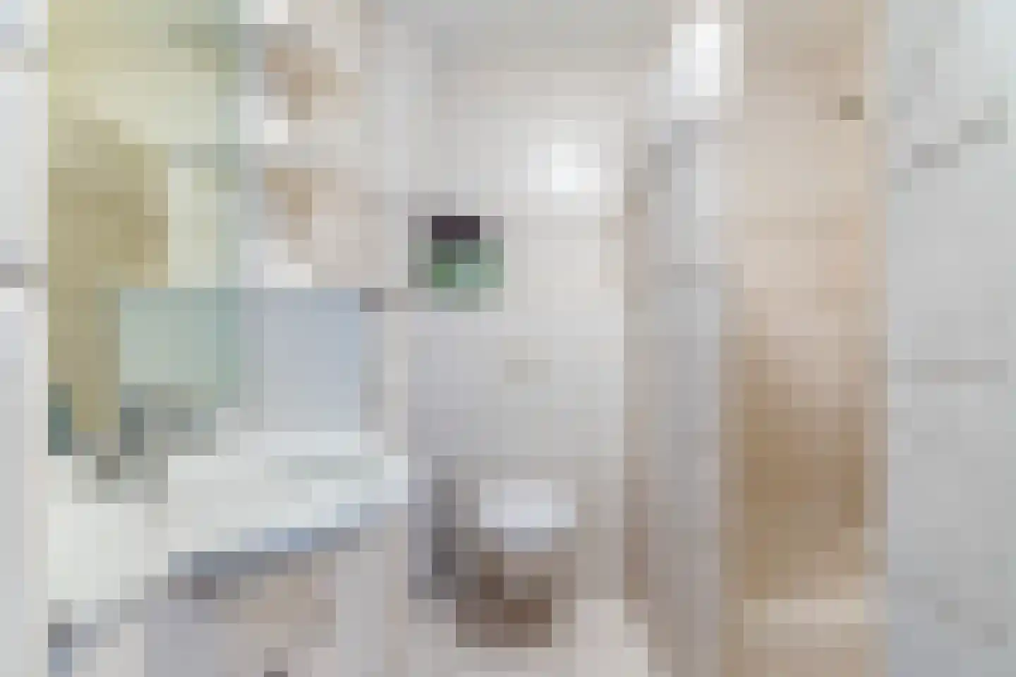 Hekoord 15 Breda thumbnail 24