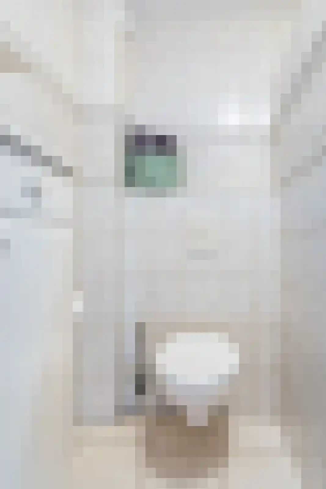 Hekoord 15 Breda thumbnail 26