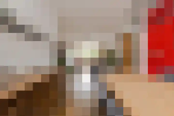 Hekoord 17 Breda thumbnail 10