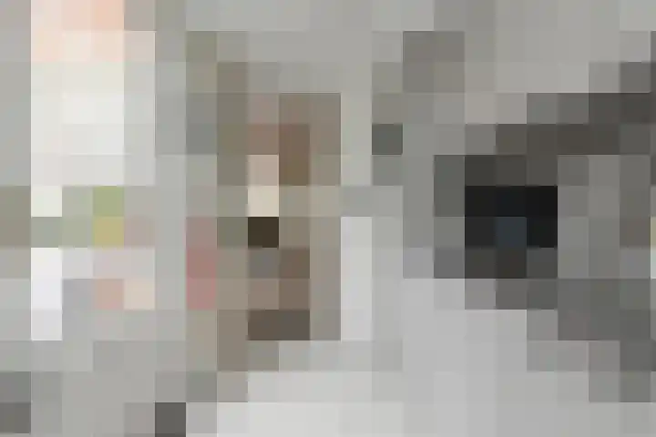 Hekoord 17 Breda thumbnail 13