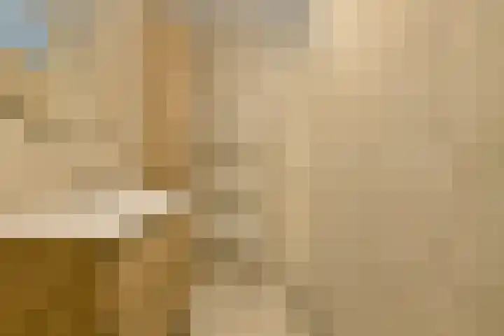 Hekoord 17 Breda thumbnail 22