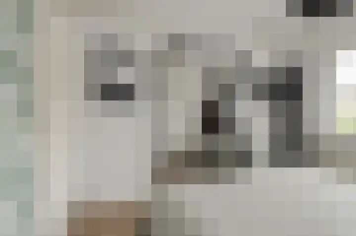 Hekoord 17 Breda thumbnail 25