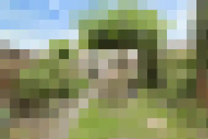 Hekoord 17 Breda thumbnail 32