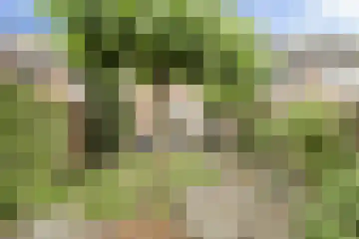 Hekoord 17 Breda thumbnail 34