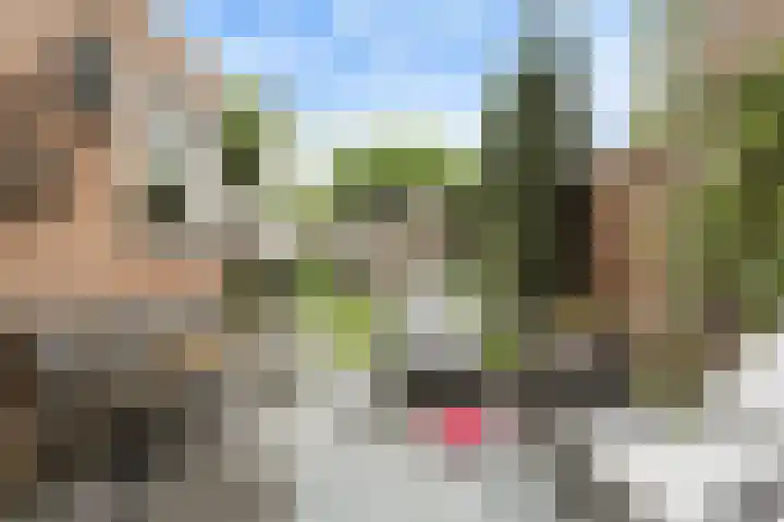 Hekoord 17 Breda thumbnail 37