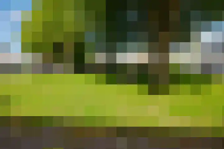 Hekselbrink 31 Enschede thumbnail 15