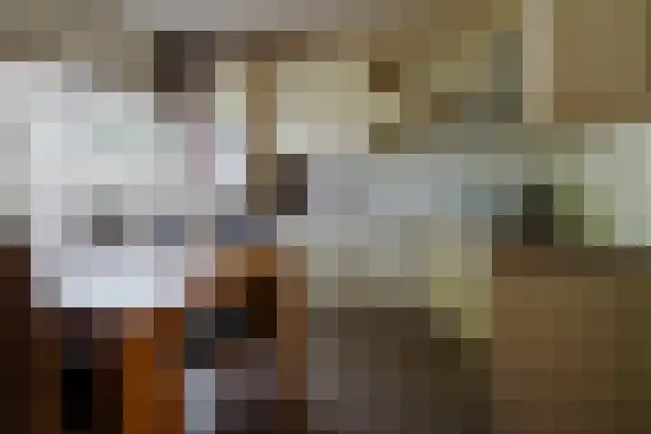 Hekselbrink 31 Enschede thumbnail 16