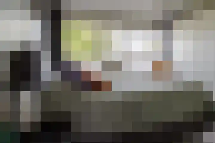 Hekselbrink 31 Enschede thumbnail 19