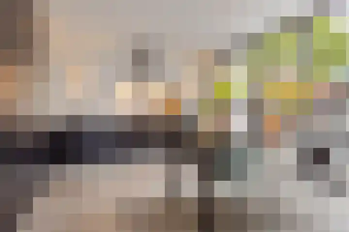 Heksenkring 30 Breda thumbnail 12