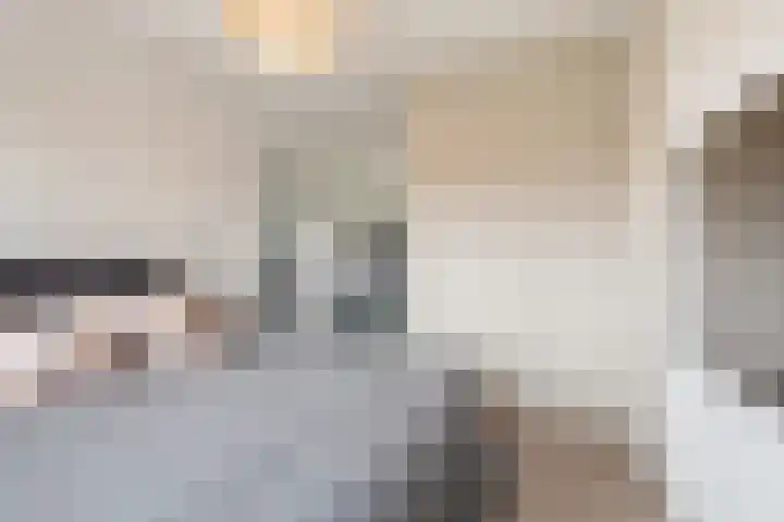 Heksenkring 30 Breda thumbnail 17