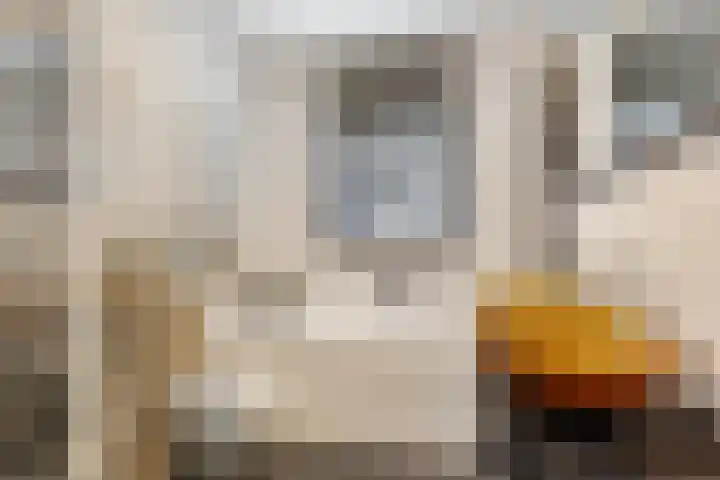 Heksenkring 30 Breda thumbnail 21