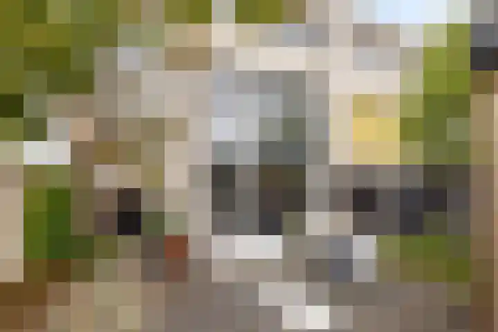 Heksenkring 30 Breda thumbnail 23