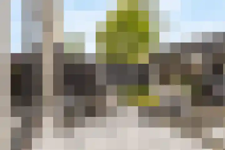 Heksenkring 30 Breda thumbnail 24