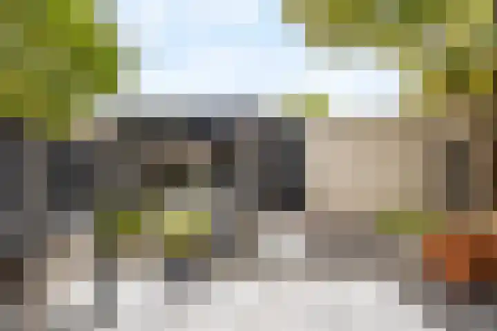 Heksenkring 30 Breda thumbnail 25