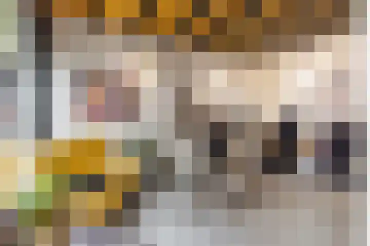 Heksenkring 30 Breda thumbnail 26