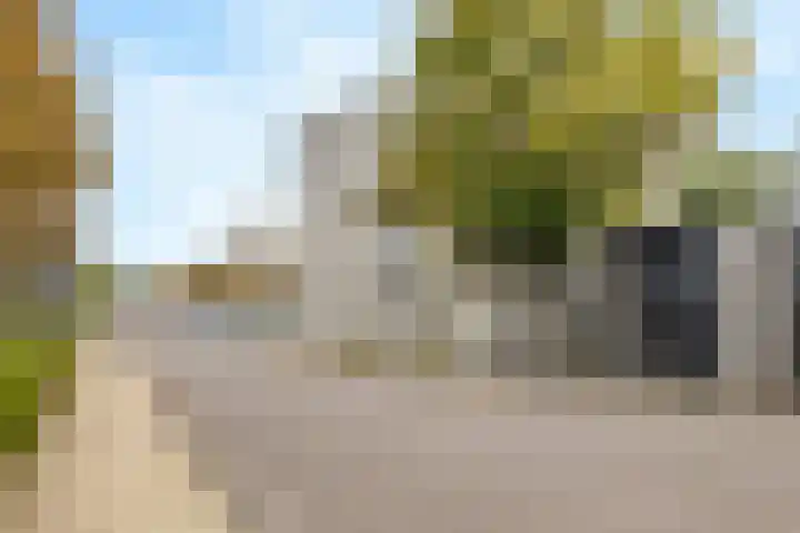 Heksenkring 30 Breda thumbnail 29