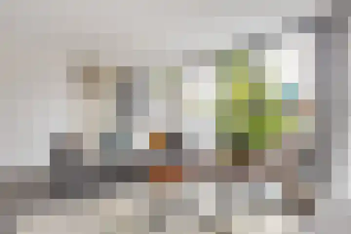 Heksenkring 30 Breda thumbnail 4