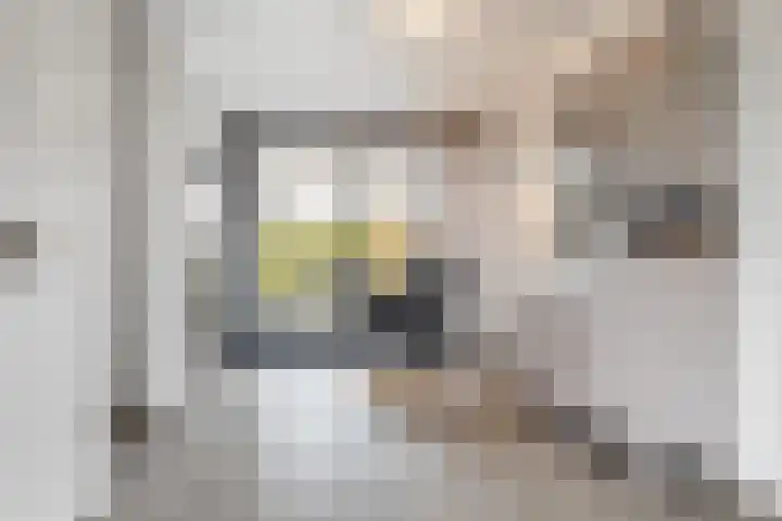 Heksenkring 30 Breda thumbnail 7