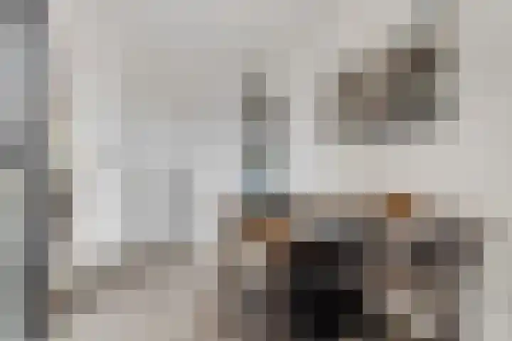 Heksenkring 30 Breda thumbnail 9