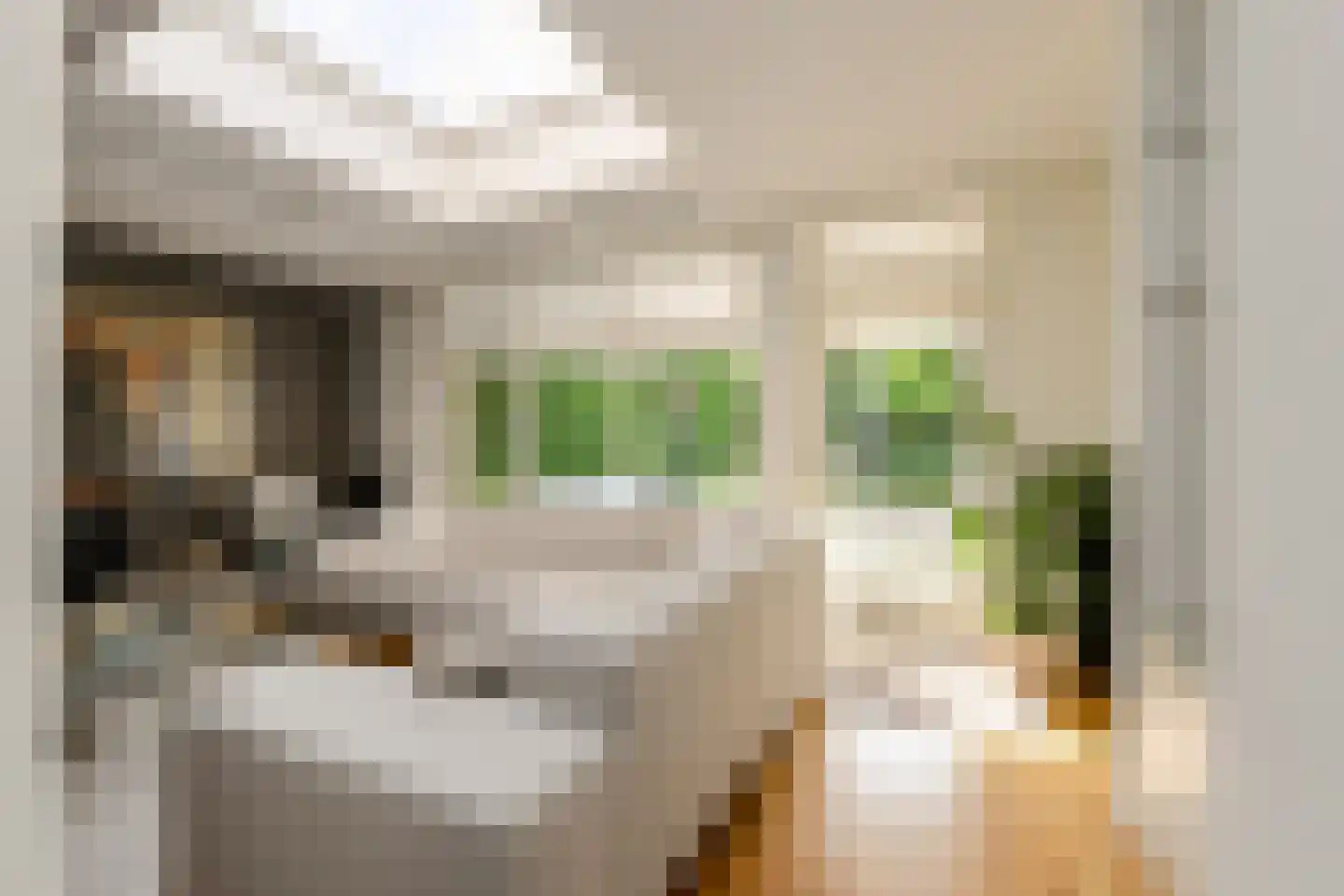 Heksenkring 9 Breda thumbnail 12