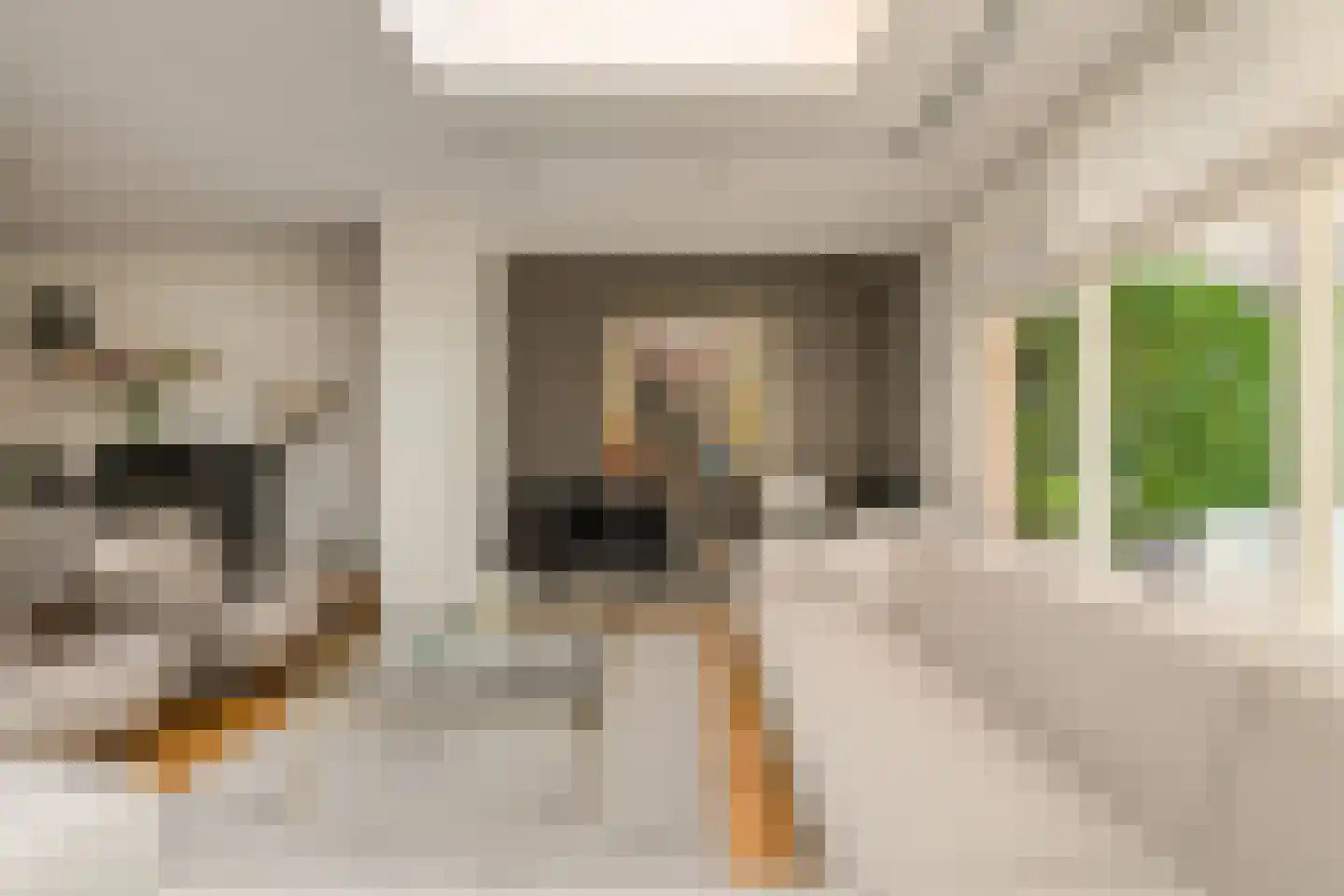 Heksenkring 9 Breda thumbnail 13