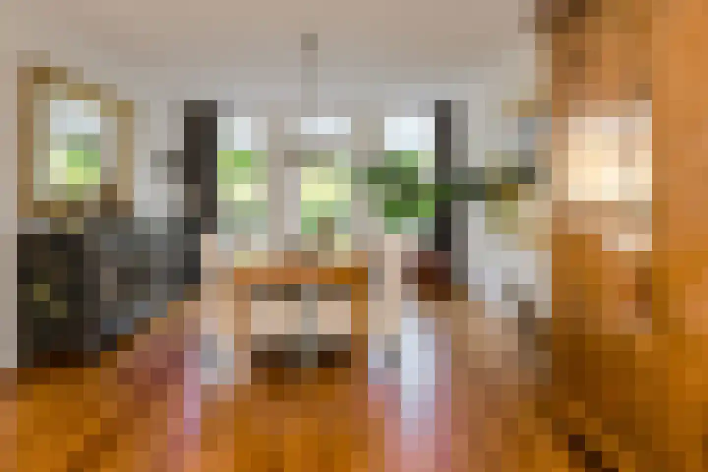 Heksenkring 9 Breda thumbnail 17