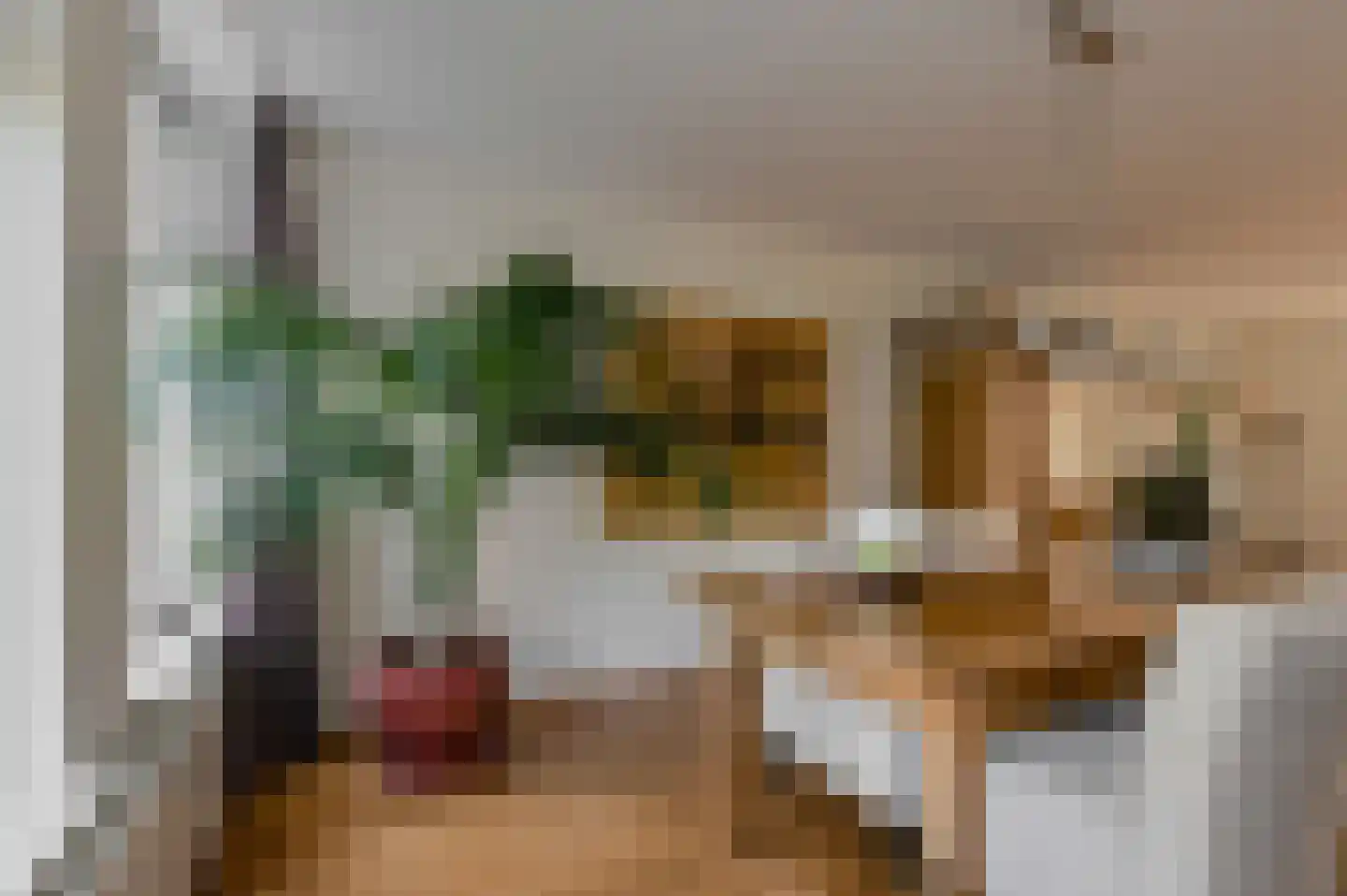 Heksenkring 9 Breda thumbnail 19