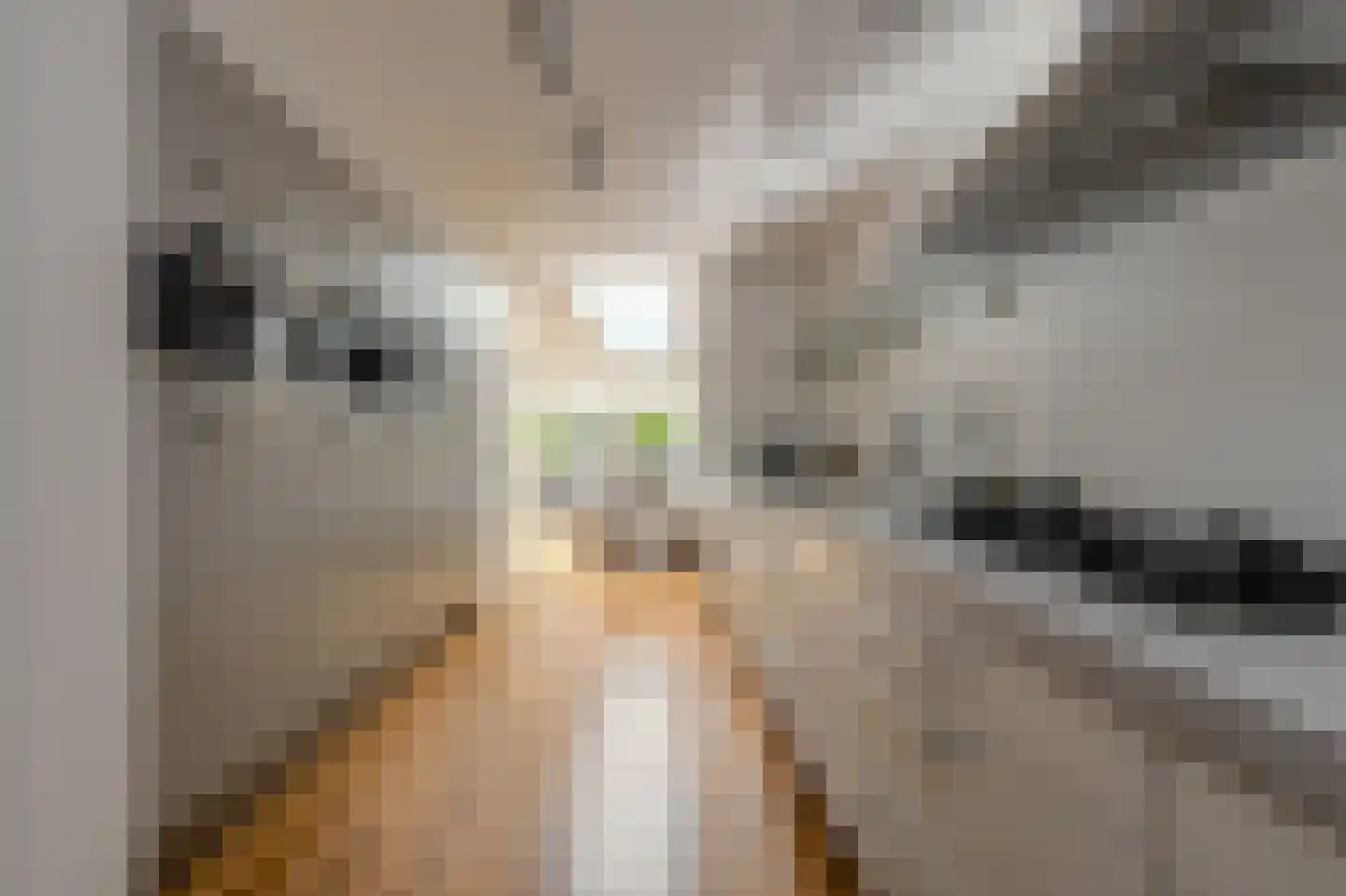 Heksenkring 9 Breda thumbnail 24