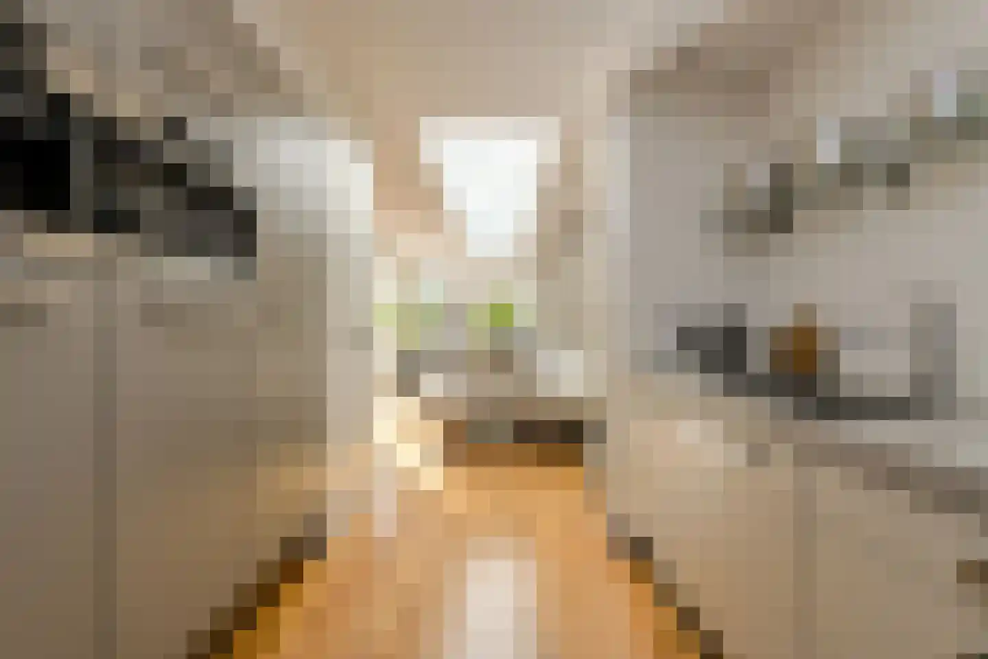 Heksenkring 9 Breda thumbnail 25