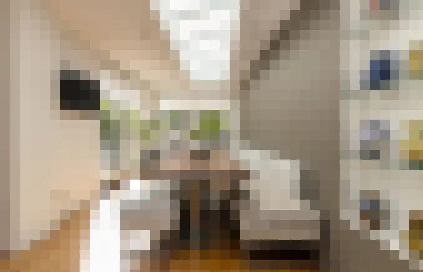Heksenkring 9 Breda thumbnail 26