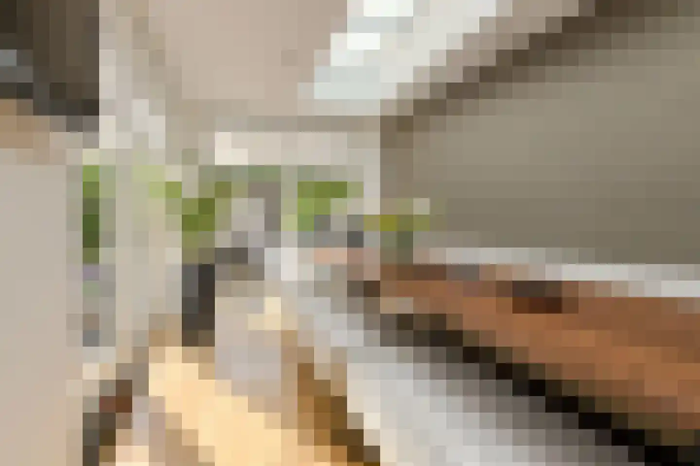 Heksenkring 9 Breda thumbnail 27