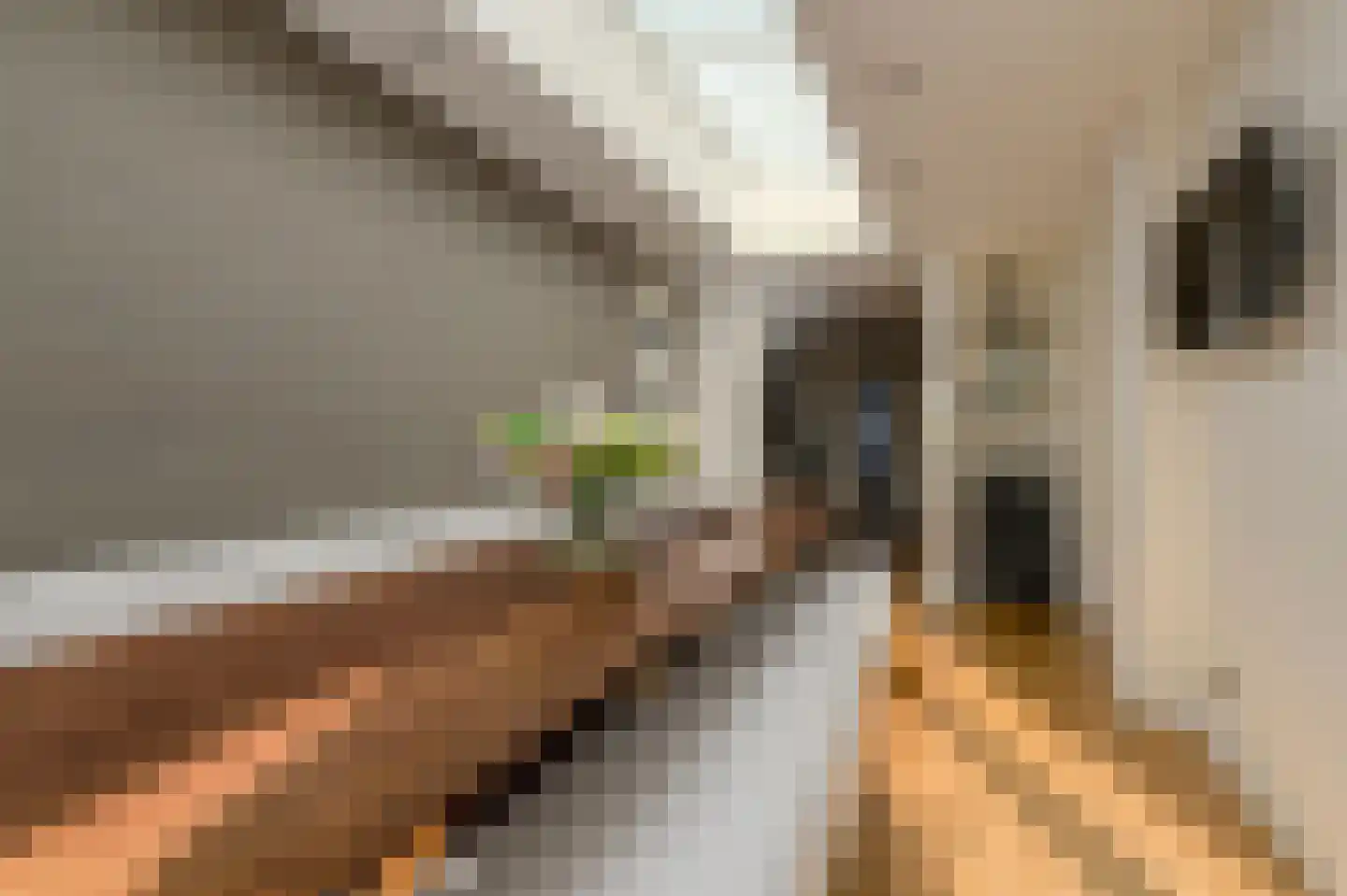 Heksenkring 9 Breda thumbnail 28