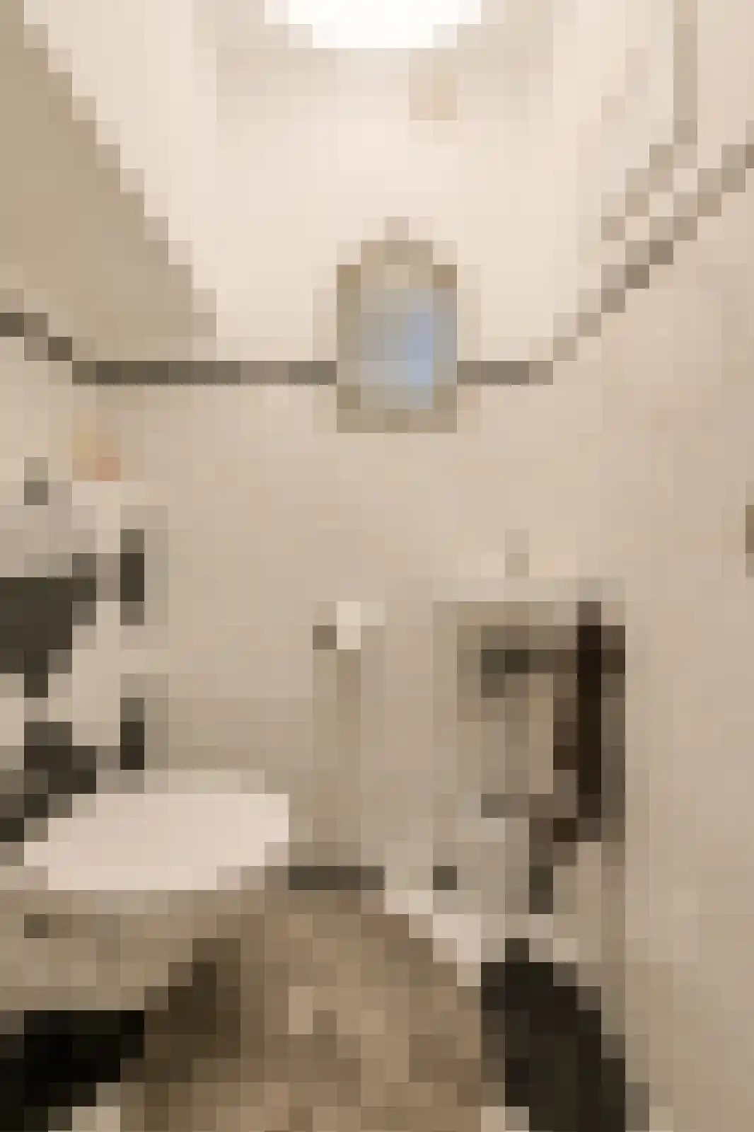 Heksenkring 9 Breda thumbnail 33