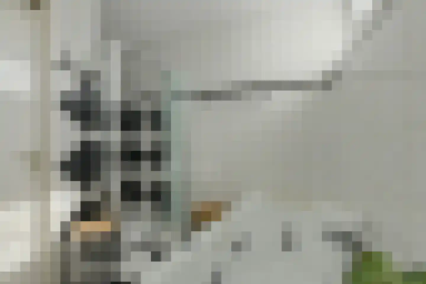 Heksenkring 9 Breda thumbnail 38