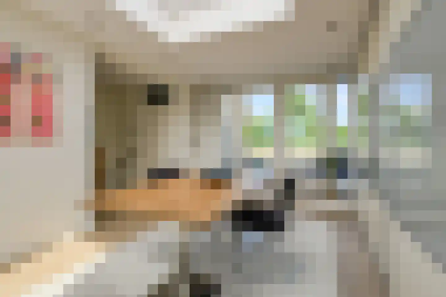 Heksenkring 9 Breda thumbnail 51
