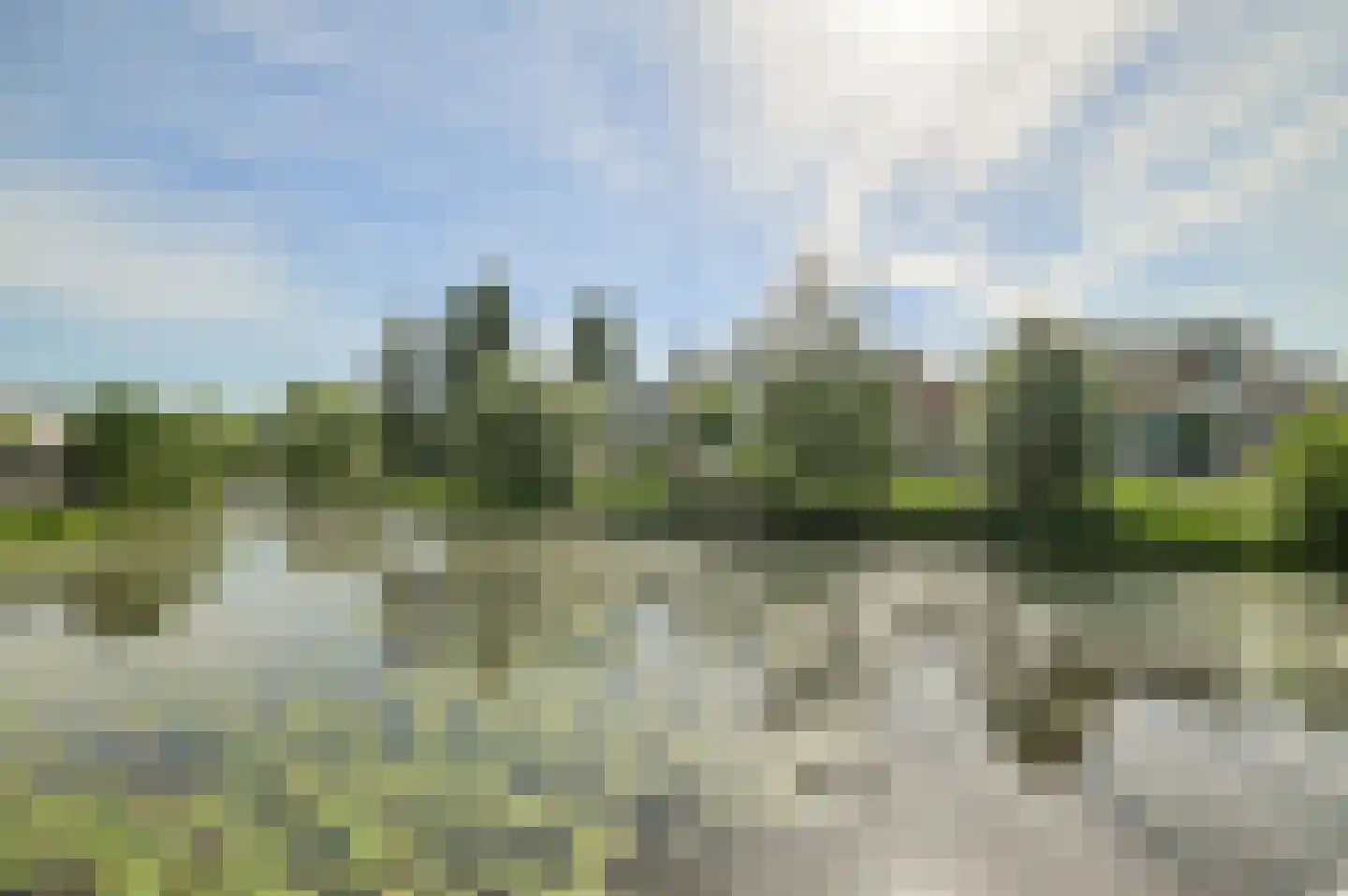 Heksenkring 9 Breda thumbnail 6