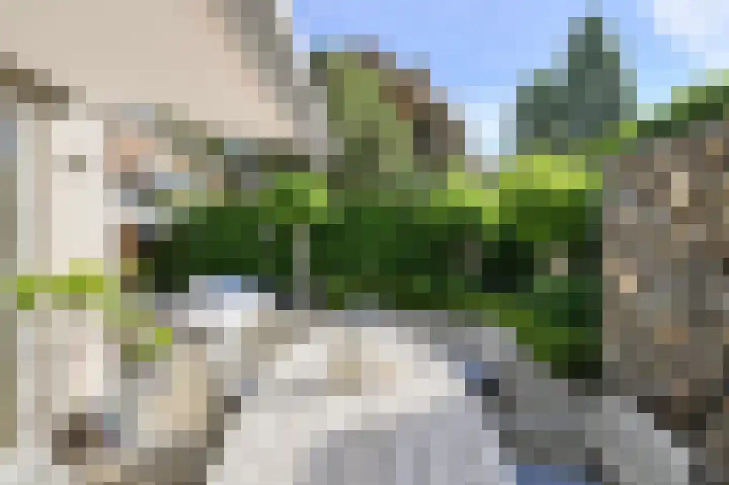 Heksenkring 9 Breda thumbnail 66
