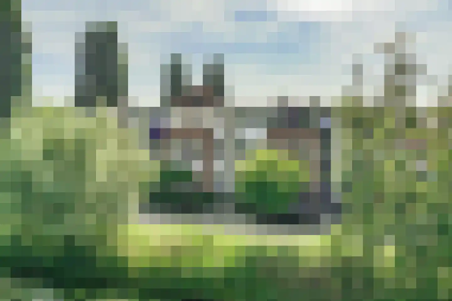 Heksenkring 9 Breda thumbnail 7