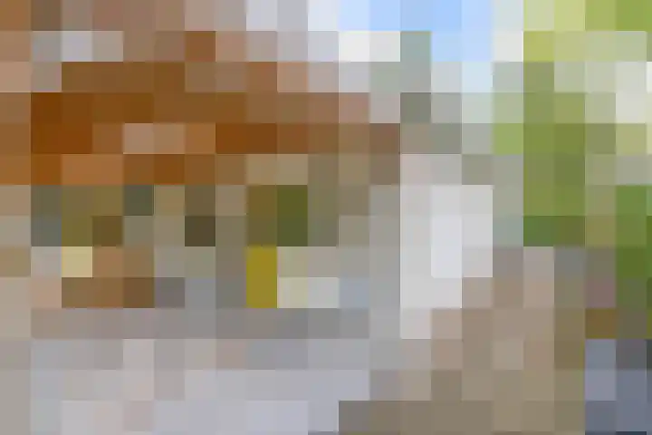 Heksenkruidlaan 50 Eindhoven thumbnail 31