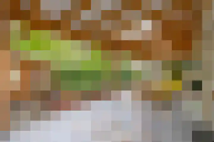 Heksenkruidlaan 50 Eindhoven thumbnail 32