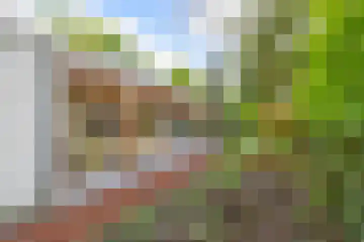 Heksenkruidlaan 50 Eindhoven thumbnail 34