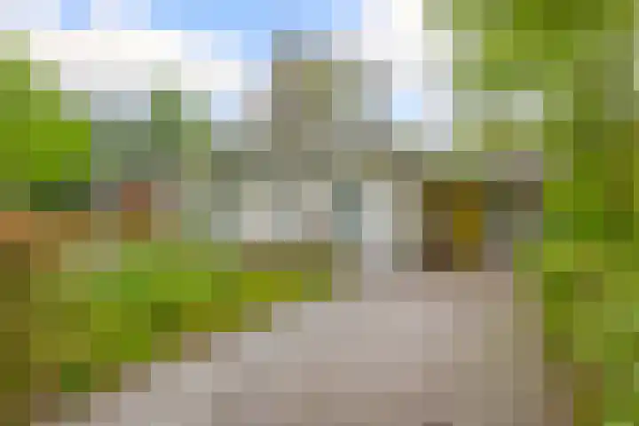 Heksenkruidlaan 50 Eindhoven thumbnail 36