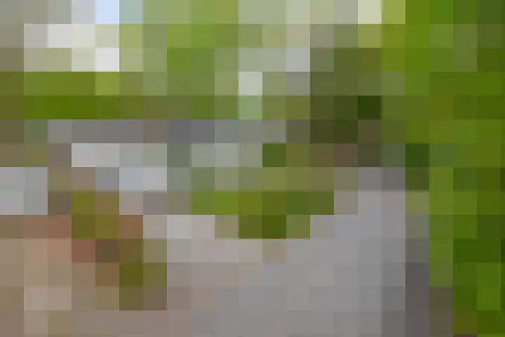 Heksenkruidlaan 50 Eindhoven thumbnail 37