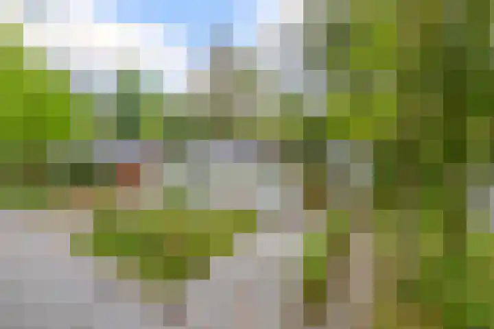 Heksenkruidlaan 50 Eindhoven thumbnail 5