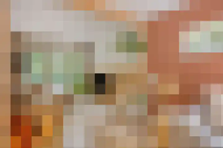 Heksenkruidlaan 6 Eindhoven thumbnail 10