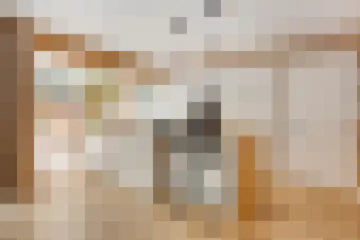 Heksenkruidlaan 6 Eindhoven thumbnail 15
