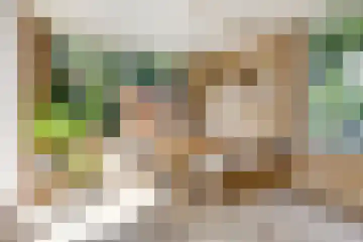 Heksenkruidlaan 6 Eindhoven thumbnail 16