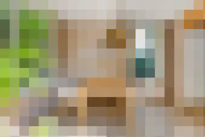 Heksenkruidlaan 6 Eindhoven thumbnail 17