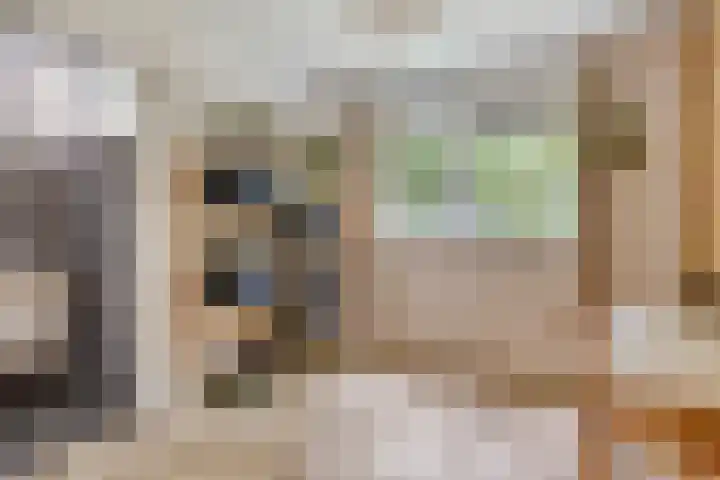 Heksenkruidlaan 6 Eindhoven thumbnail 22