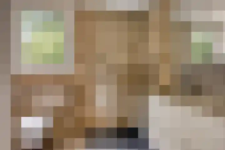 Heksenkruidlaan 6 Eindhoven thumbnail 29
